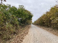 #3: Looking east, down Bucklucksy Road