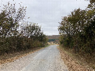 #5: Looking west, toward the intersection (and forested hill)