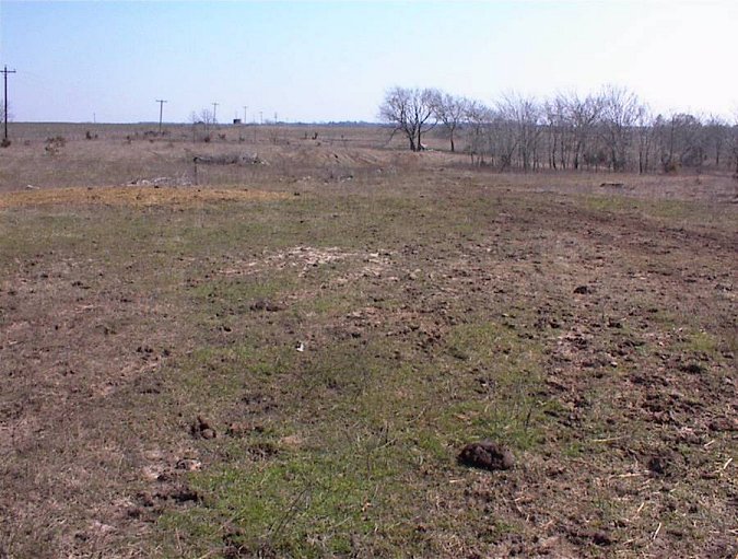 Looking E from the confluence spot