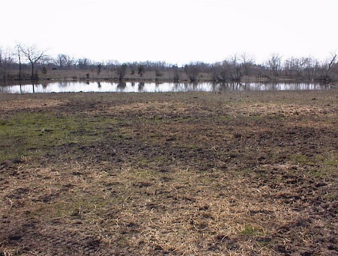 Looking S from the confluence spot