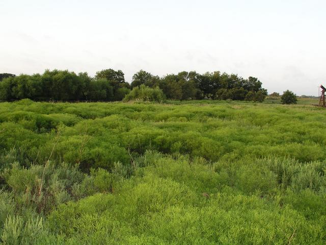 Looking south from 35N 97W