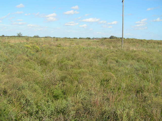 View to the north from 35 North 97 West.