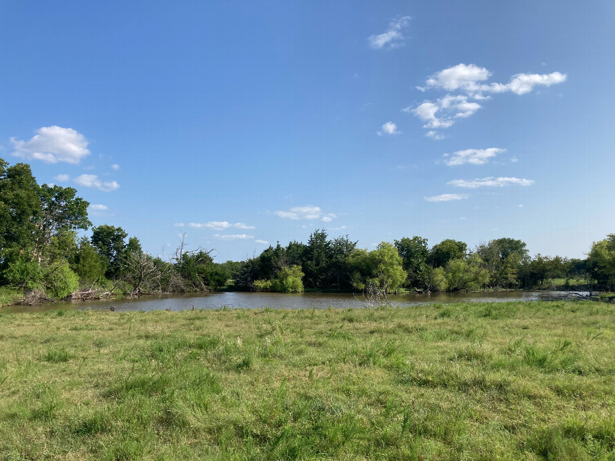 Looking south, towards a small pond