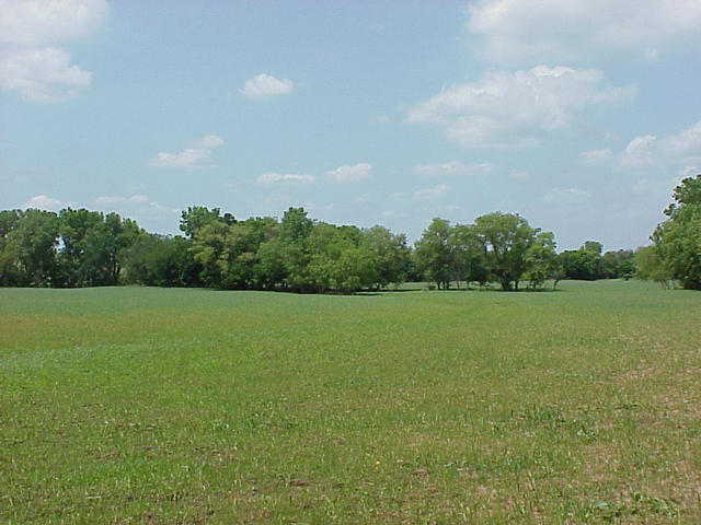 Looking North from Confluence