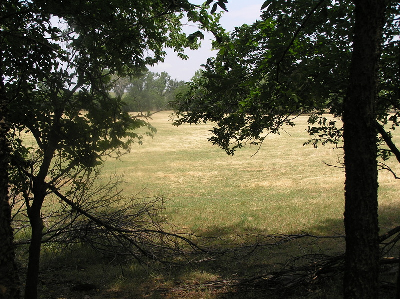 View to the north from 6 meters north of the confluence point.