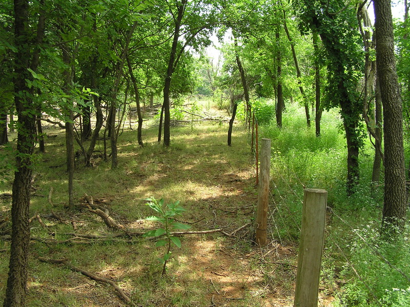 View to the east from the confluence of 35 North 98 West.