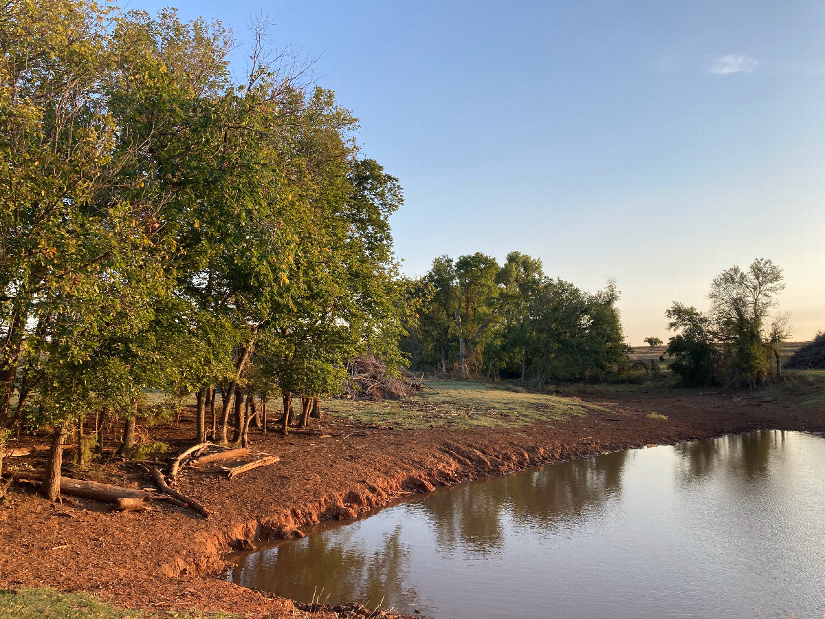 Looking south, at the (relatively new) pond