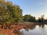 #4: Looking south, at the (relatively new) pond