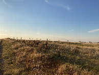 #7: A view along our walk to the confluence