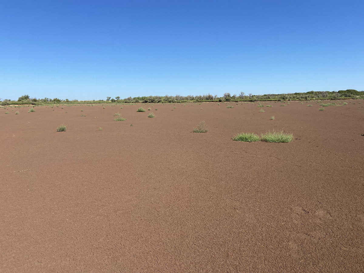 View to the north from the confluence. 