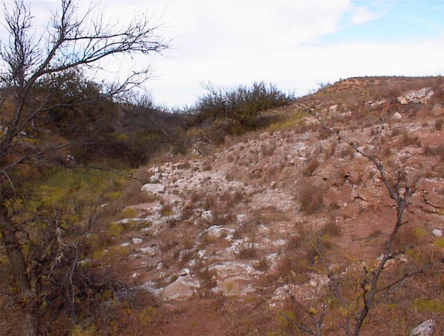 Looking east from the confluence