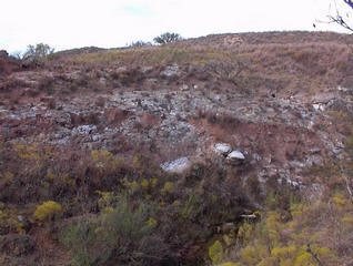 #1: Looking north from the confluence