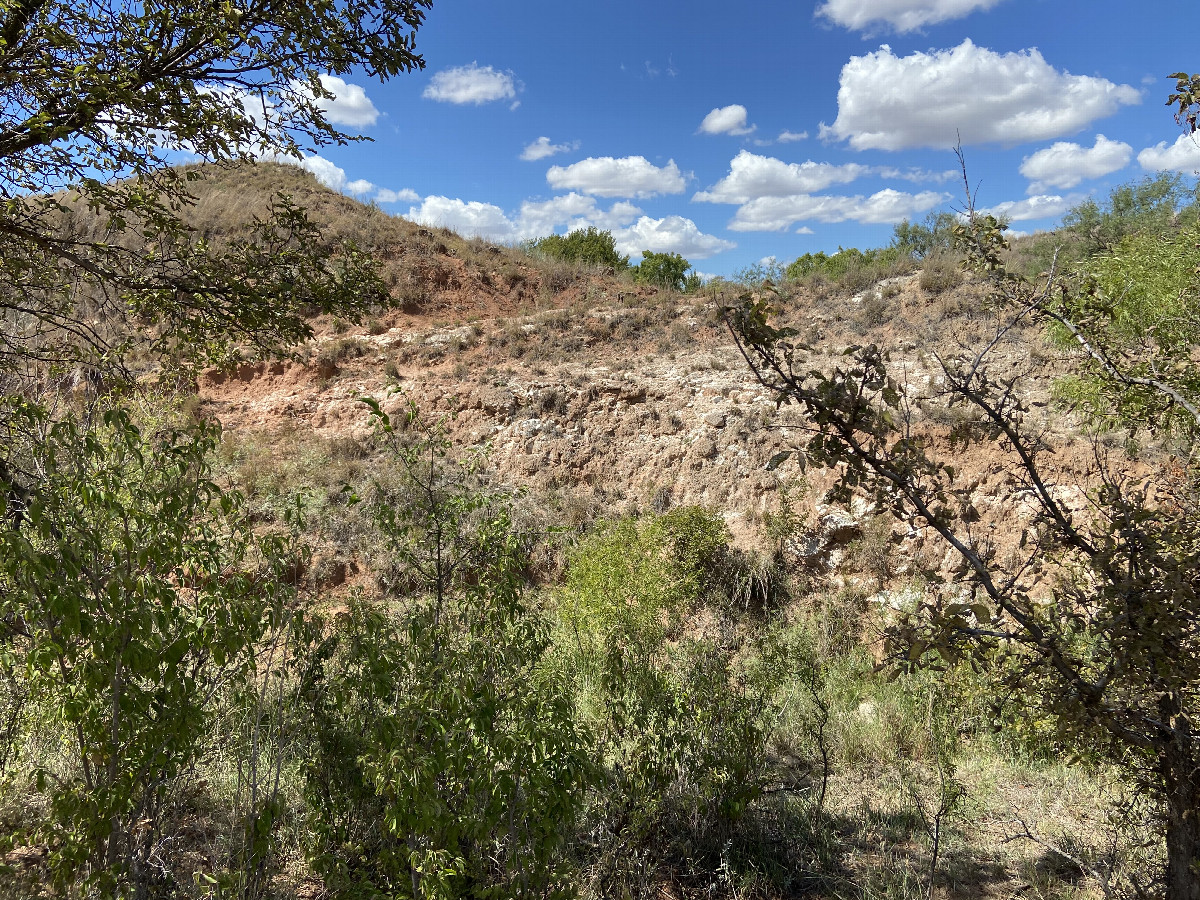 View to the west from the confluence. 