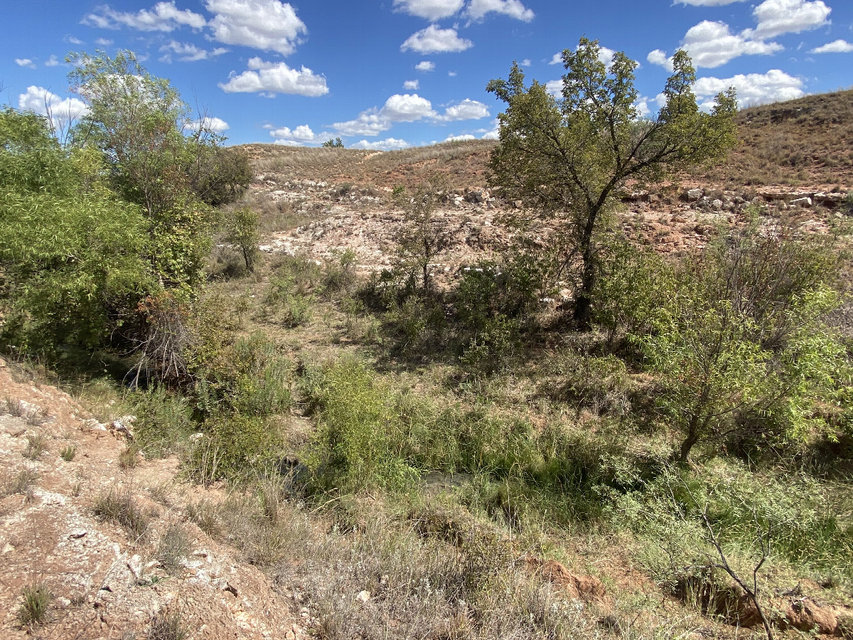 The ravine where the confluence point lies. 