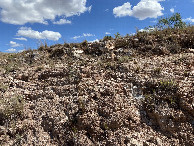 #3: View to the east from the confluence. 