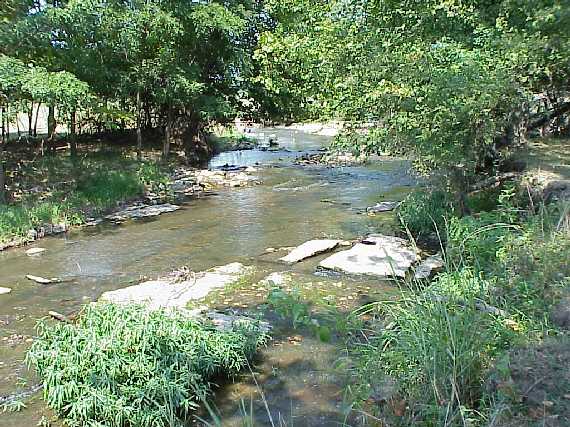 Fourteen Mile Creek