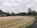 #4: Looking east about 95 meters northwest of the confluence of 36 North 96 West.