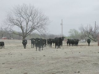 #1: Area of the confluence