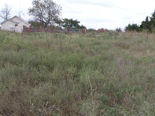 View to the east from the confluence.