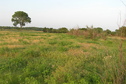 #4: View to the east northeast from the confluence.