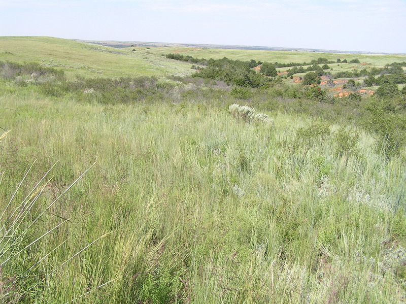 The confluence of 36 North 99 West lies in the center foreground of this photograph, looking north.