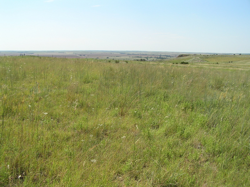 Western horizon from 25 meters southwest of the confluence point.