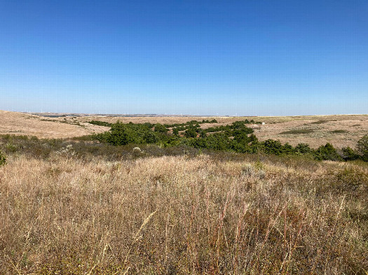 #1: Looking northeast toward 36N 99W, located in the foreground