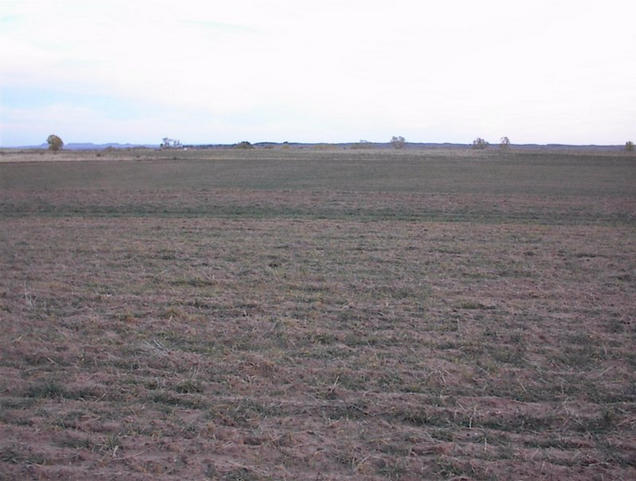 Looking south from the confluence