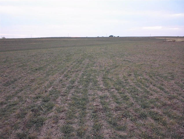 Looking west from the confluence