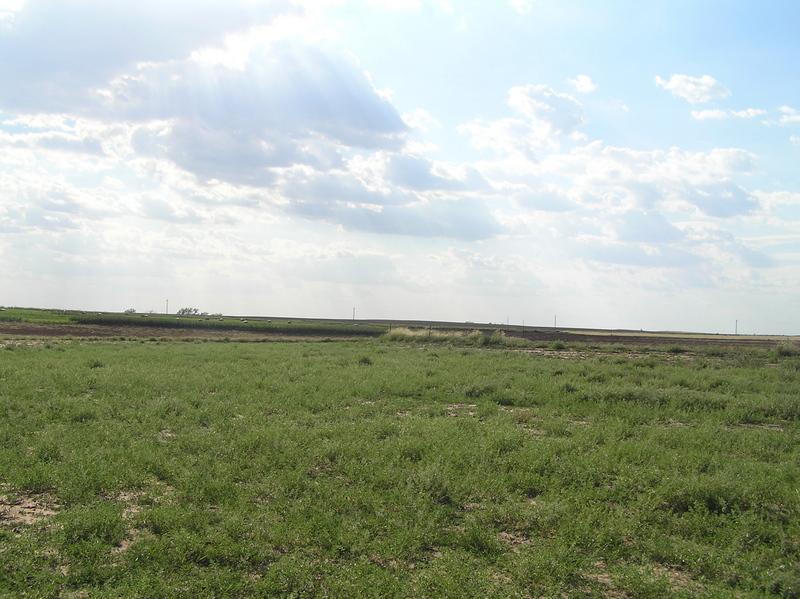 View to the west from the confluence.