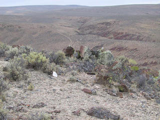 #1: Picture of confluence toward the south.