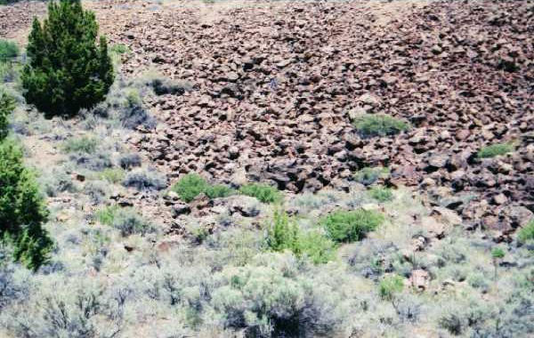 View from East - Left Center, Behind Shrubs