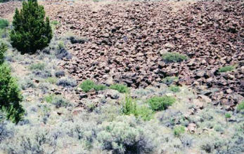 #1: View from East - Left Center, Behind Shrubs