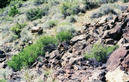 #3: View of cairn I built at site. Pink flags show it.