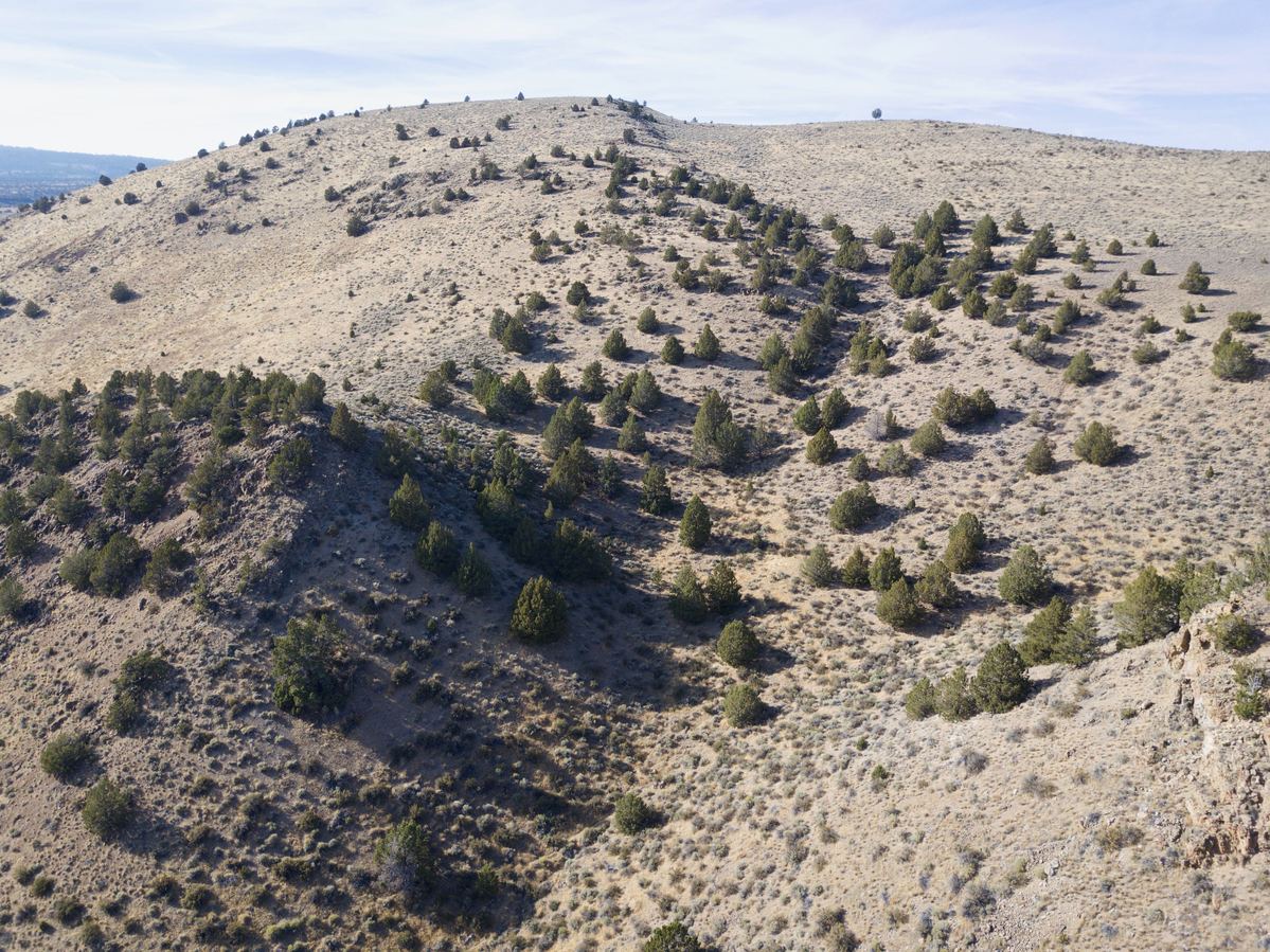 View West from 120 m above the point