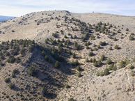 #11: View West from 120 m above the point