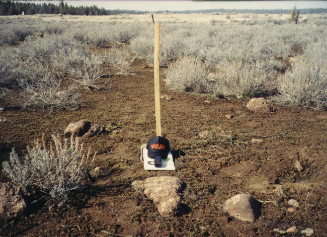 The confluence point.