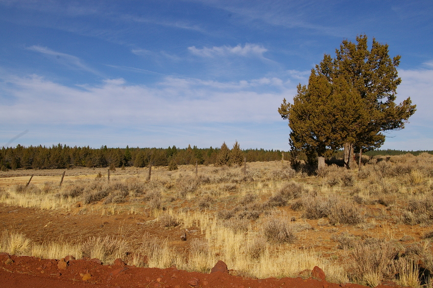 looking from the road towards the confluence