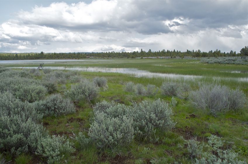 View East (towards the ongoing natural gas pipeline installation)