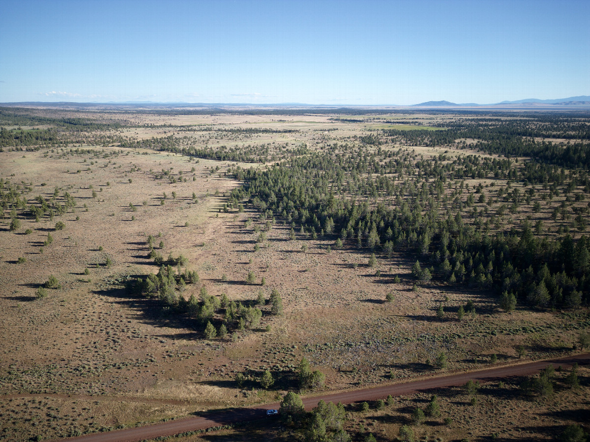 View South, from 120m above the point