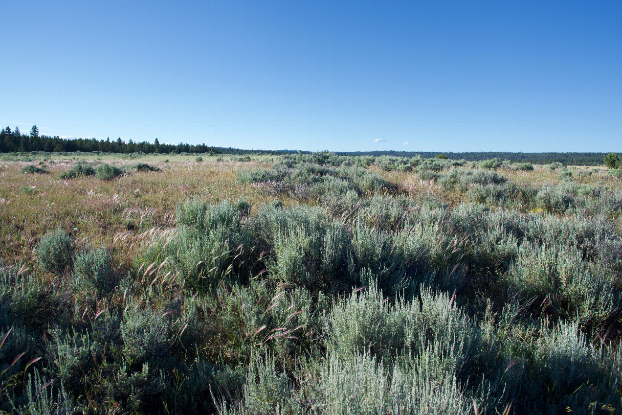 The confluence point lies on the bank of a (currently dry) lake.  (This is also a view to the North.)