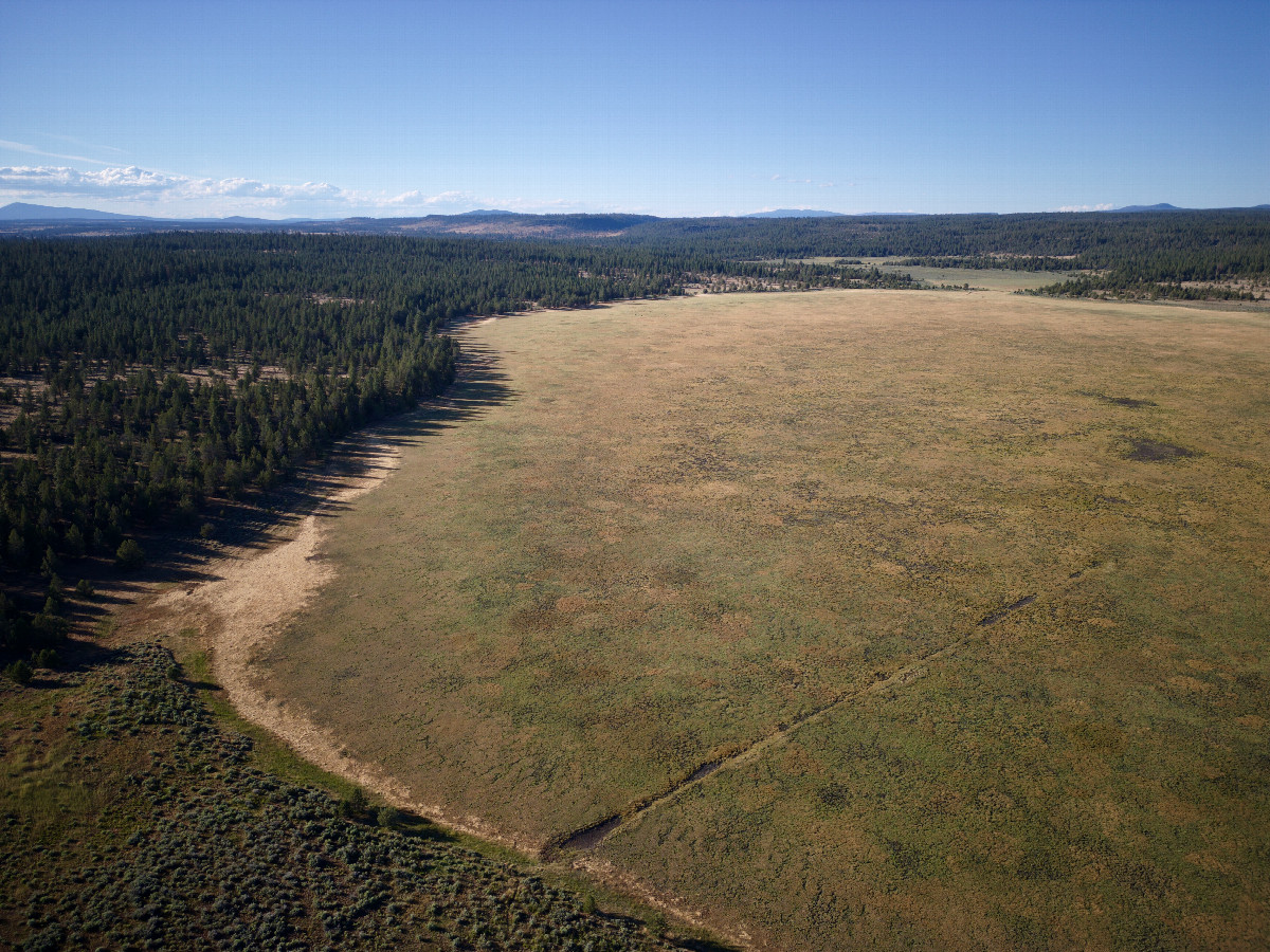 View North (across the currently-dry lake bed), from 120m above the point