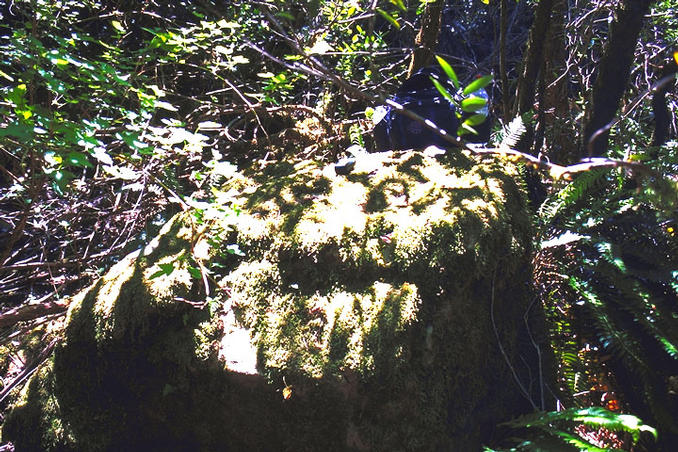 Close, This rock is about ten meters from the confluence