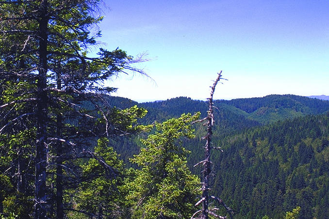 View west from the ridge about o kilometer away  across to clear-cu areas and the Pacific Ocean in the back.