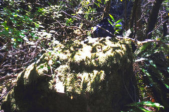 #1: Close, This rock is about ten meters from the confluence