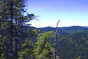 #4: View west from the ridge about o kilometer away  across to clear-cu areas and the Pacific Ocean in the back.