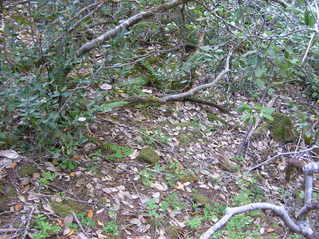 #1: The confluence point lies on a steep, scrub-covered hillside