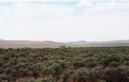 #2: View to the West. The trees are around the Ryegrass res. and ranch house.