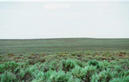 #3: Looking North into sagebrush and beyond.