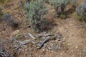 #5: The confluence point lies in an area of flat sagebrush desert